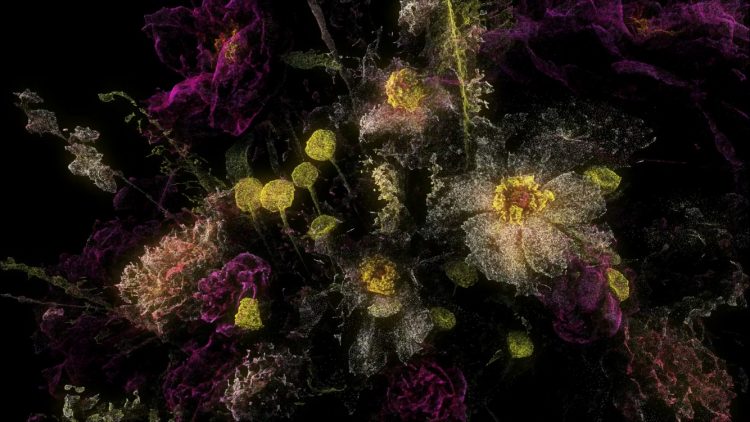 Depicting the Plants of China
